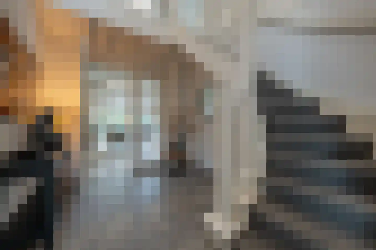 Stougjesdijk 243 Oud-Beijerland thumbnail 6