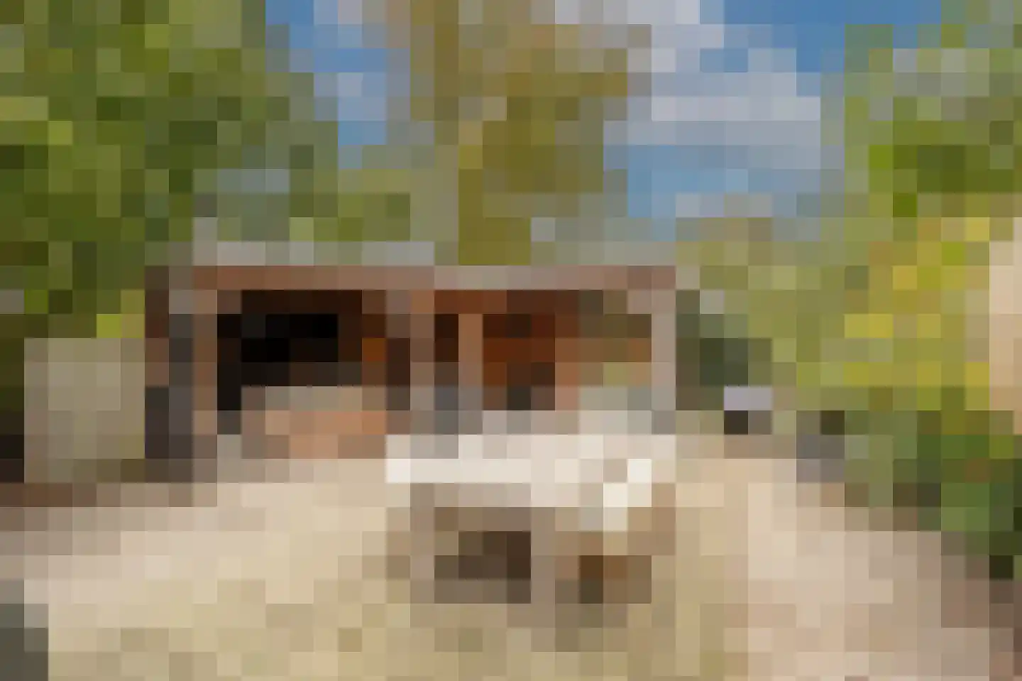 Stougjesdijk 243 Oud-Beijerland thumbnail 61