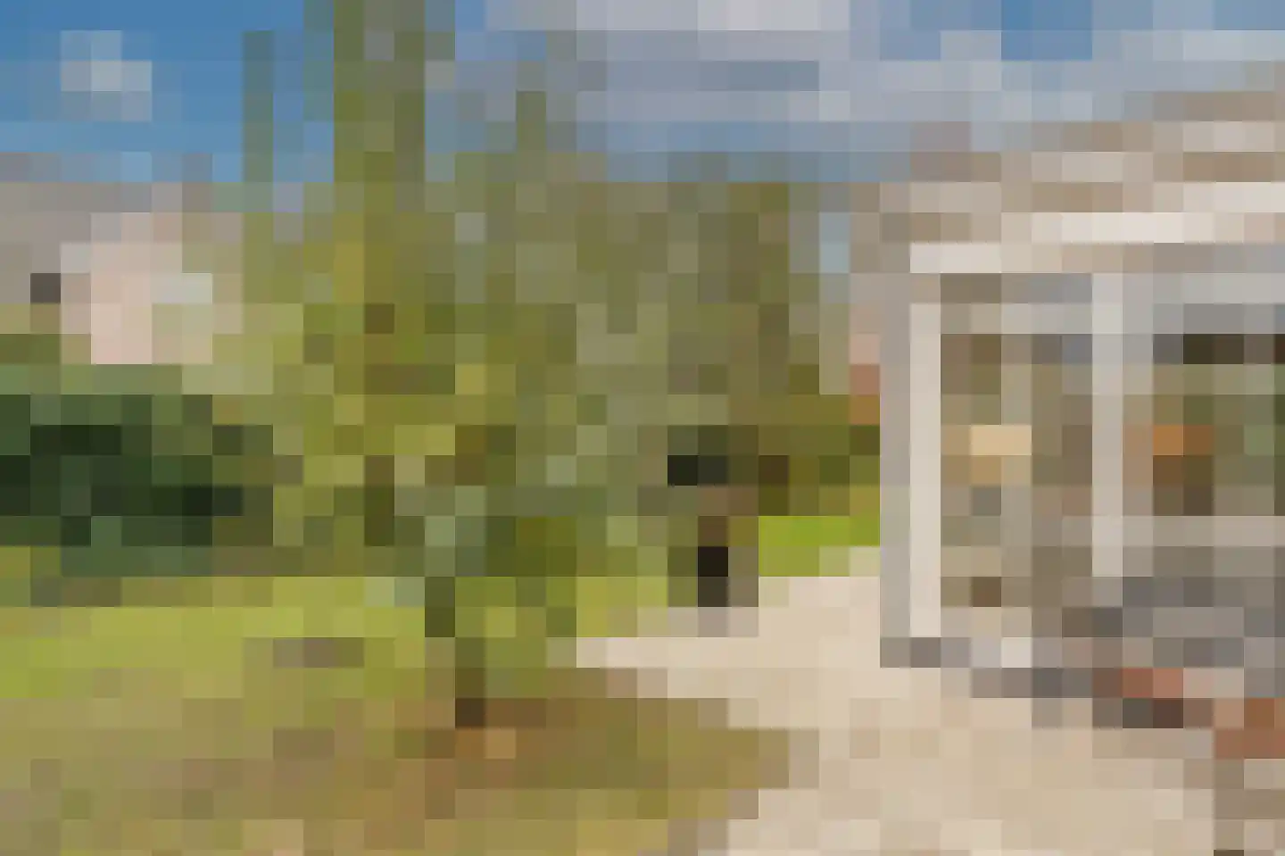Stougjesdijk 243 Oud-Beijerland thumbnail 63