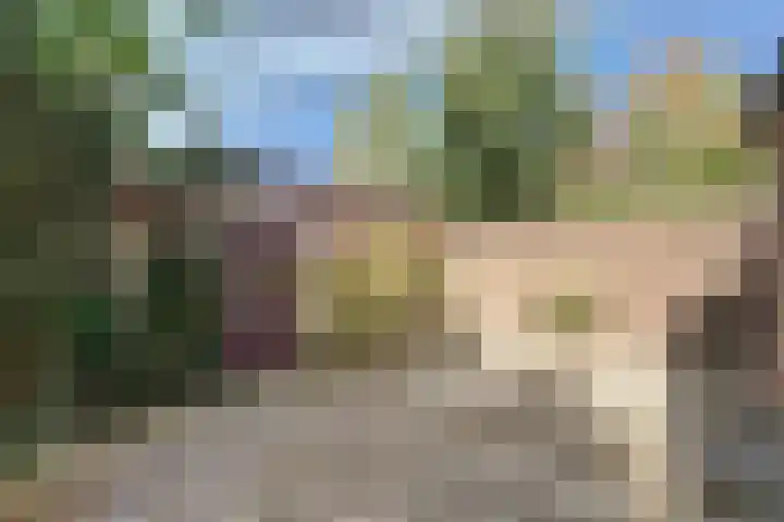 Stougjesdijk 251 Oud-Beijerland thumbnail 26