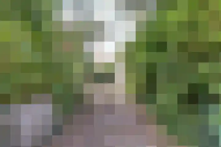 Stougjesdijk 251 Oud-Beijerland thumbnail 31