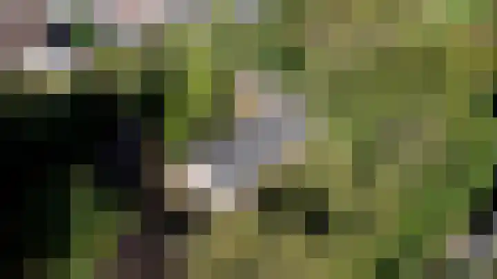 Stougjesdijk 251 Oud-Beijerland thumbnail 32