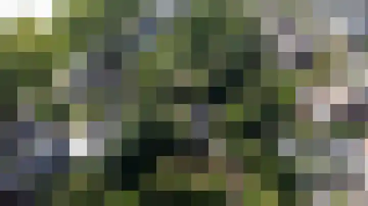 Stougjesdijk 251 Oud-Beijerland thumbnail 33