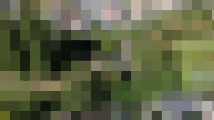 Stougjesdijk 251 Oud-Beijerland thumbnail 34
