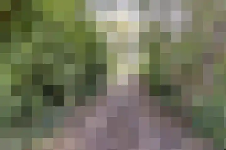 Stougjesdijk 251 Oud-Beijerland thumbnail 5