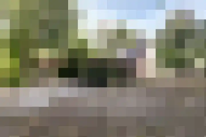 Stougjesdijk 251 Oud-Beijerland thumbnail 6