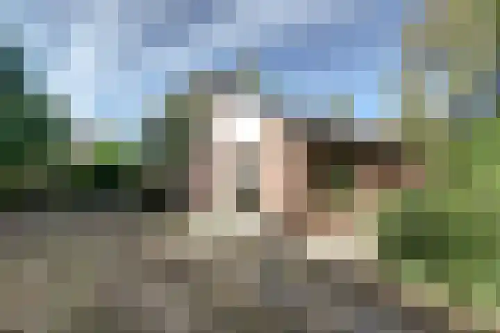 Stougjesdijk 251 Oud-Beijerland thumbnail 7