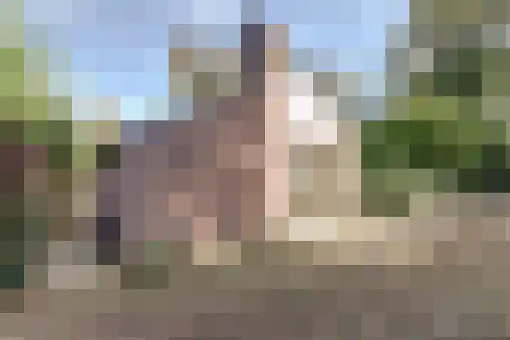 Stougjesdijk 251 Oud-Beijerland thumbnail 8