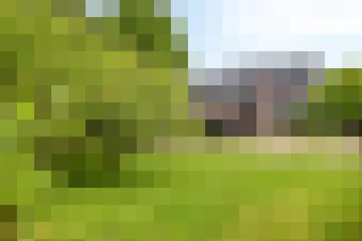 Stougjesdijk 283 Oud-Beijerland thumbnail 33