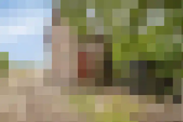 Stougjesdijk 283 Oud-Beijerland thumbnail 34