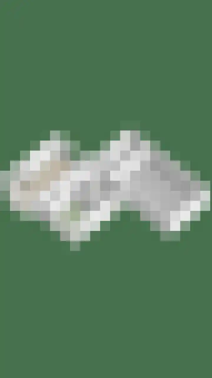 Stougjesdijk 283 Oud-Beijerland thumbnail 39