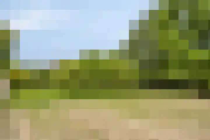 Stougjesdijk 283 Oud-Beijerland thumbnail 4