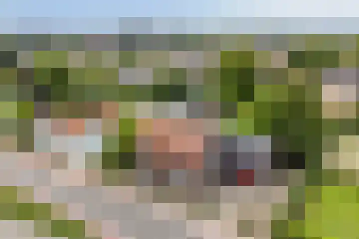 Stougjesdijk 283 Oud-Beijerland thumbnail 6