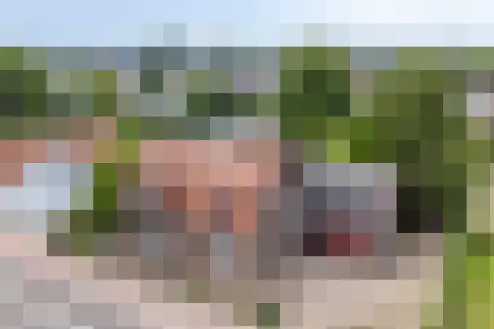 Stougjesdijk 283 Oud-Beijerland thumbnail 7