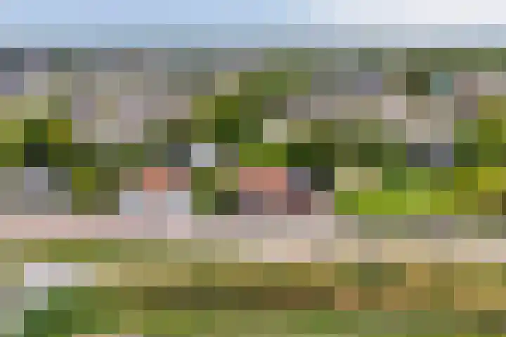 Stougjesdijk 283 Oud-Beijerland thumbnail 8