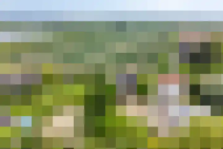 Stougjesdijk 283 Oud-Beijerland thumbnail 9