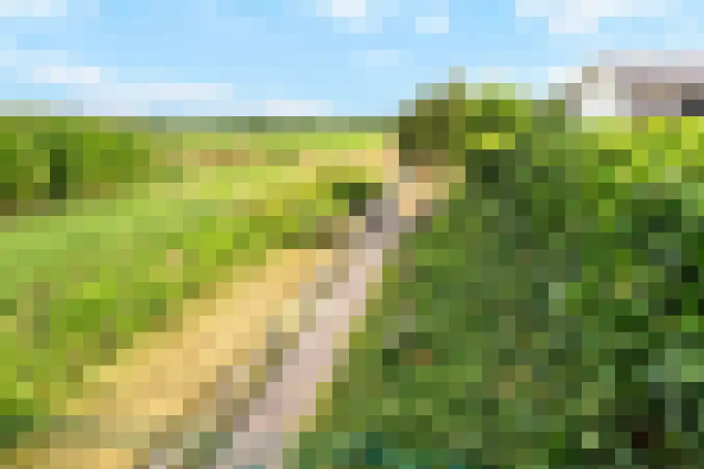 Stougjesdijk 55 Westmaas thumbnail 22