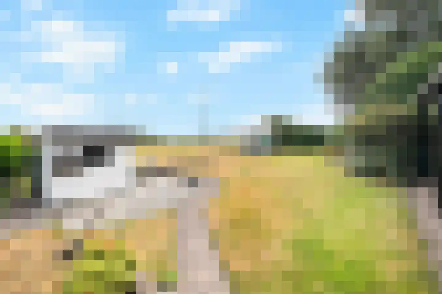 Stougjesdijk 55 Westmaas thumbnail 23