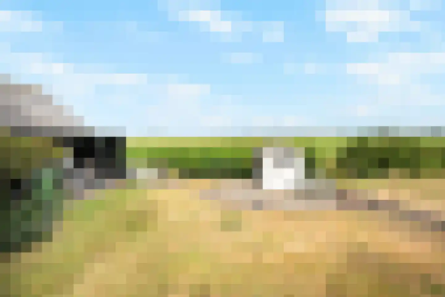 Stougjesdijk 55 Westmaas thumbnail 24