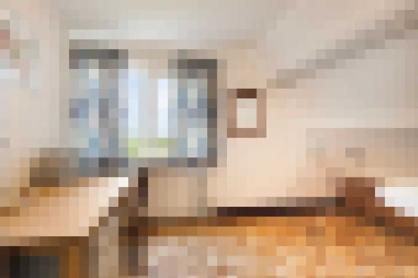 Stougjesdijk 55 Westmaas thumbnail 35