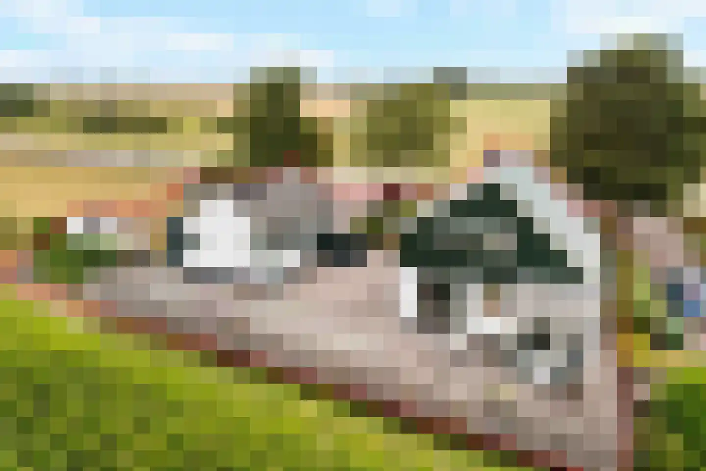 Stougjesdijk 55 Westmaas thumbnail 4