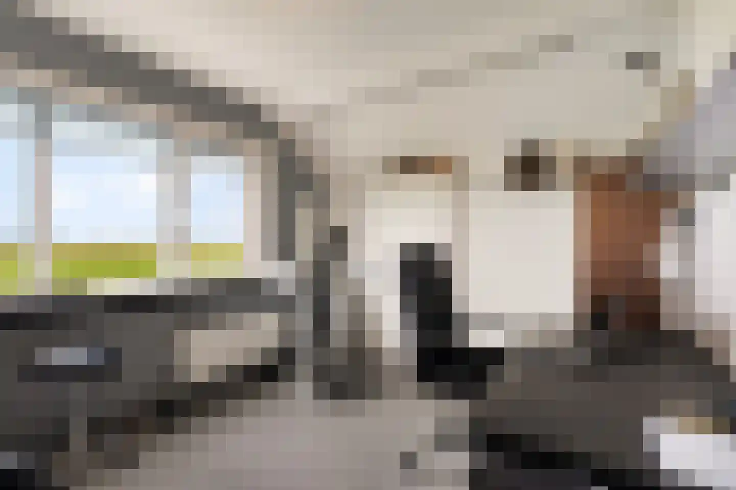 Stougjesdijk 55 Westmaas thumbnail 40