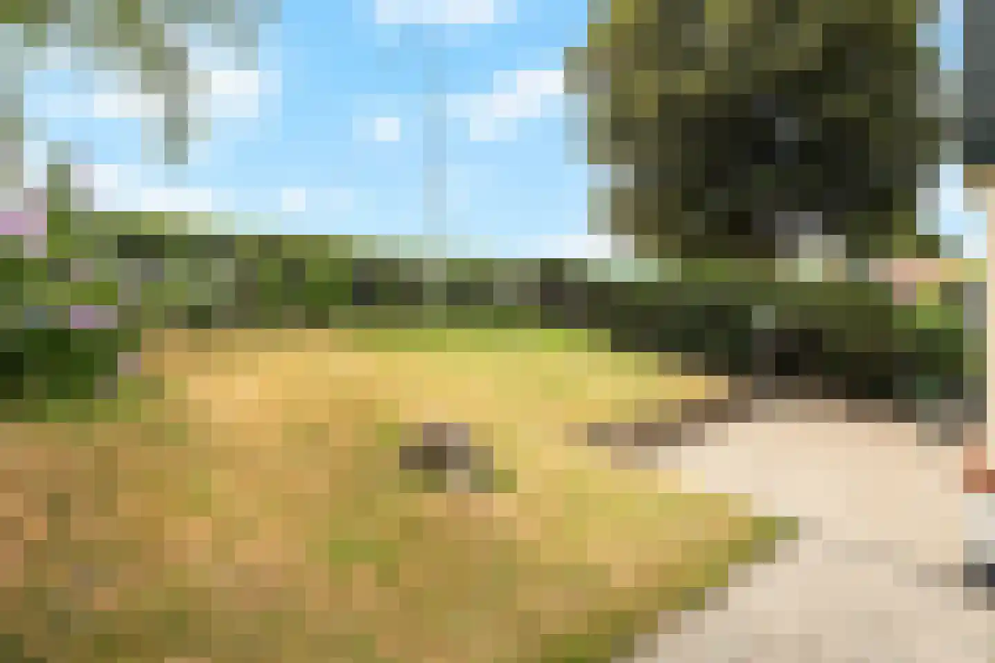 Stougjesdijk 55 Westmaas thumbnail 44