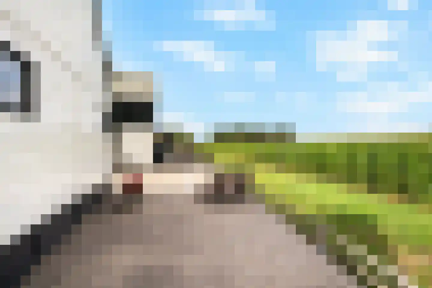 Stougjesdijk 55 Westmaas thumbnail 49