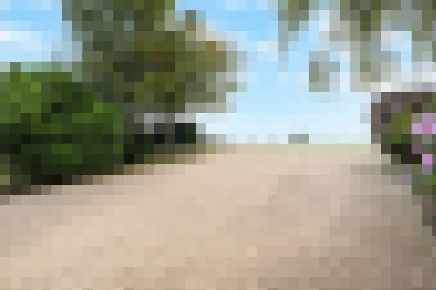 Stougjesdijk 55 Westmaas thumbnail 50