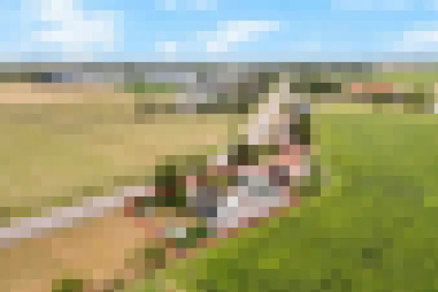 Stougjesdijk 55 Westmaas thumbnail 51