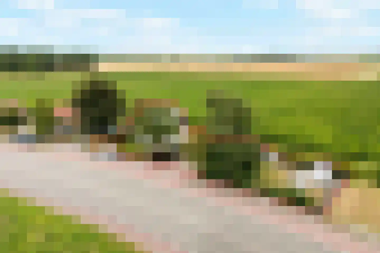 Stougjesdijk 55 Westmaas thumbnail 52