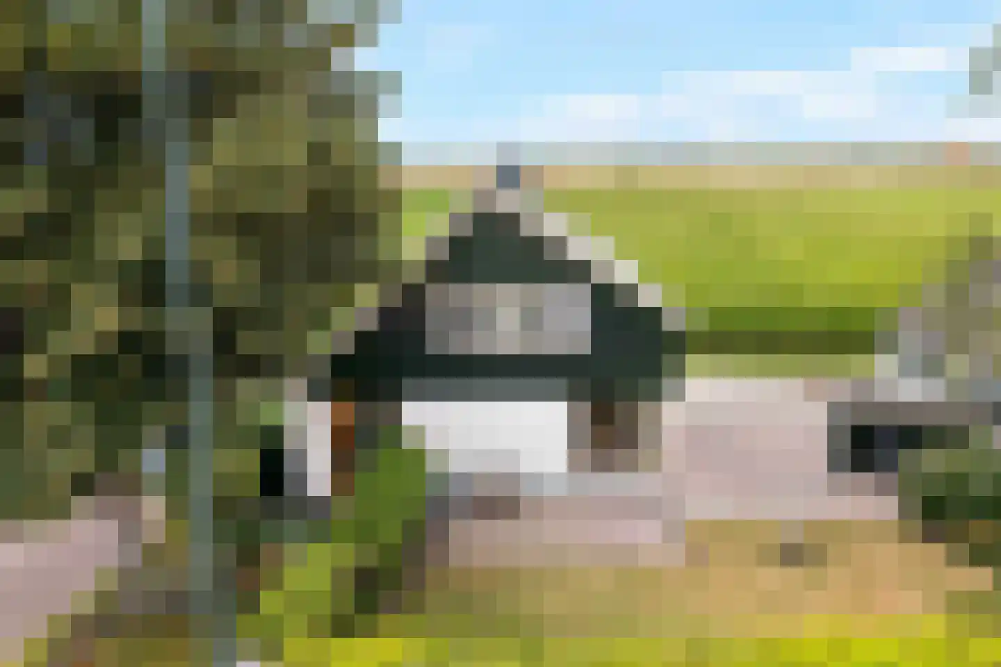 Stougjesdijk 55 Westmaas thumbnail 6