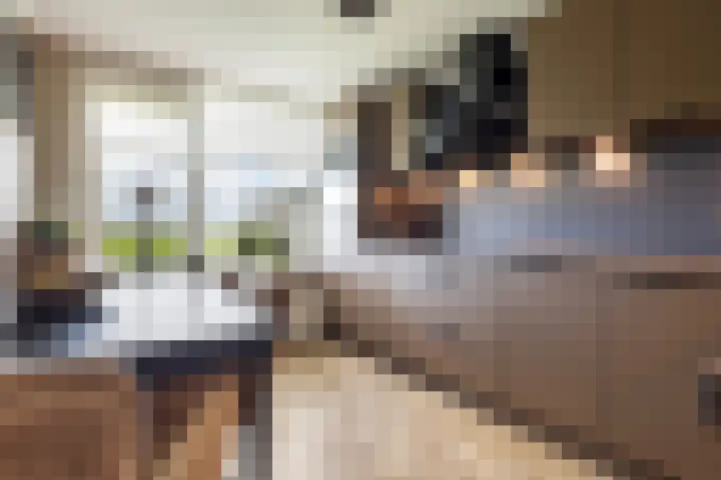Stougjesdijk 77 Westmaas thumbnail 10