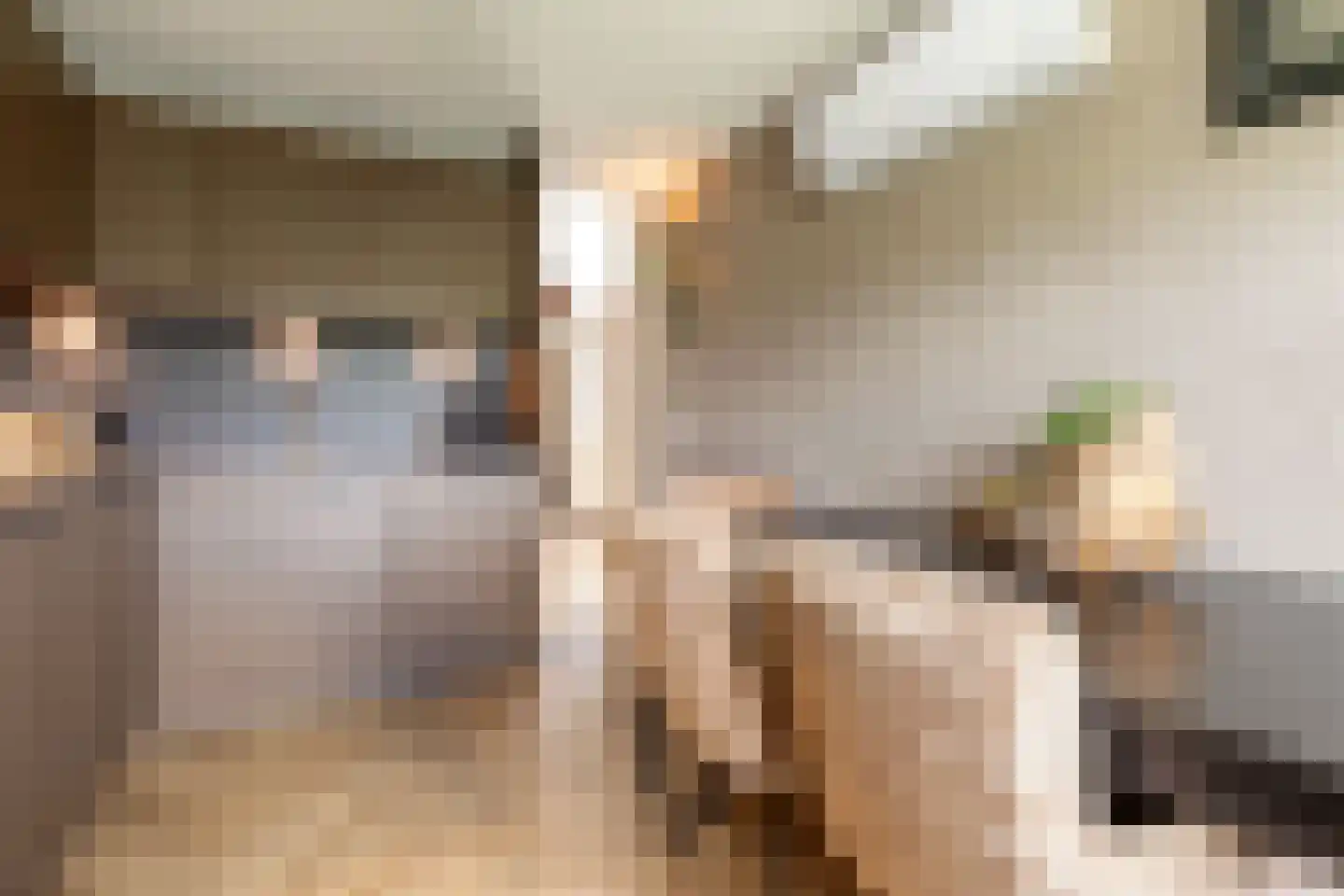 Stougjesdijk 77 Westmaas thumbnail 11