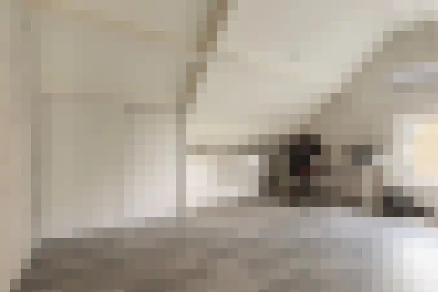 Stougjesdijk 77 Westmaas thumbnail 21