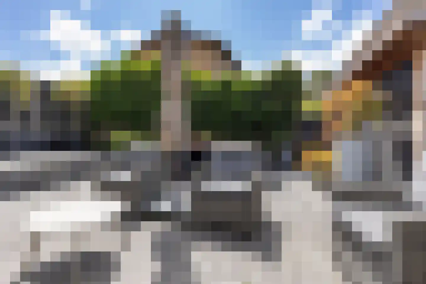 Stougjesdijk 77 Westmaas thumbnail 28