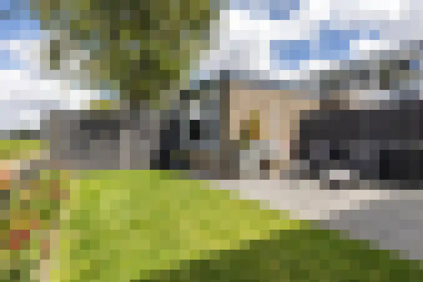 Stougjesdijk 77 Westmaas thumbnail 30
