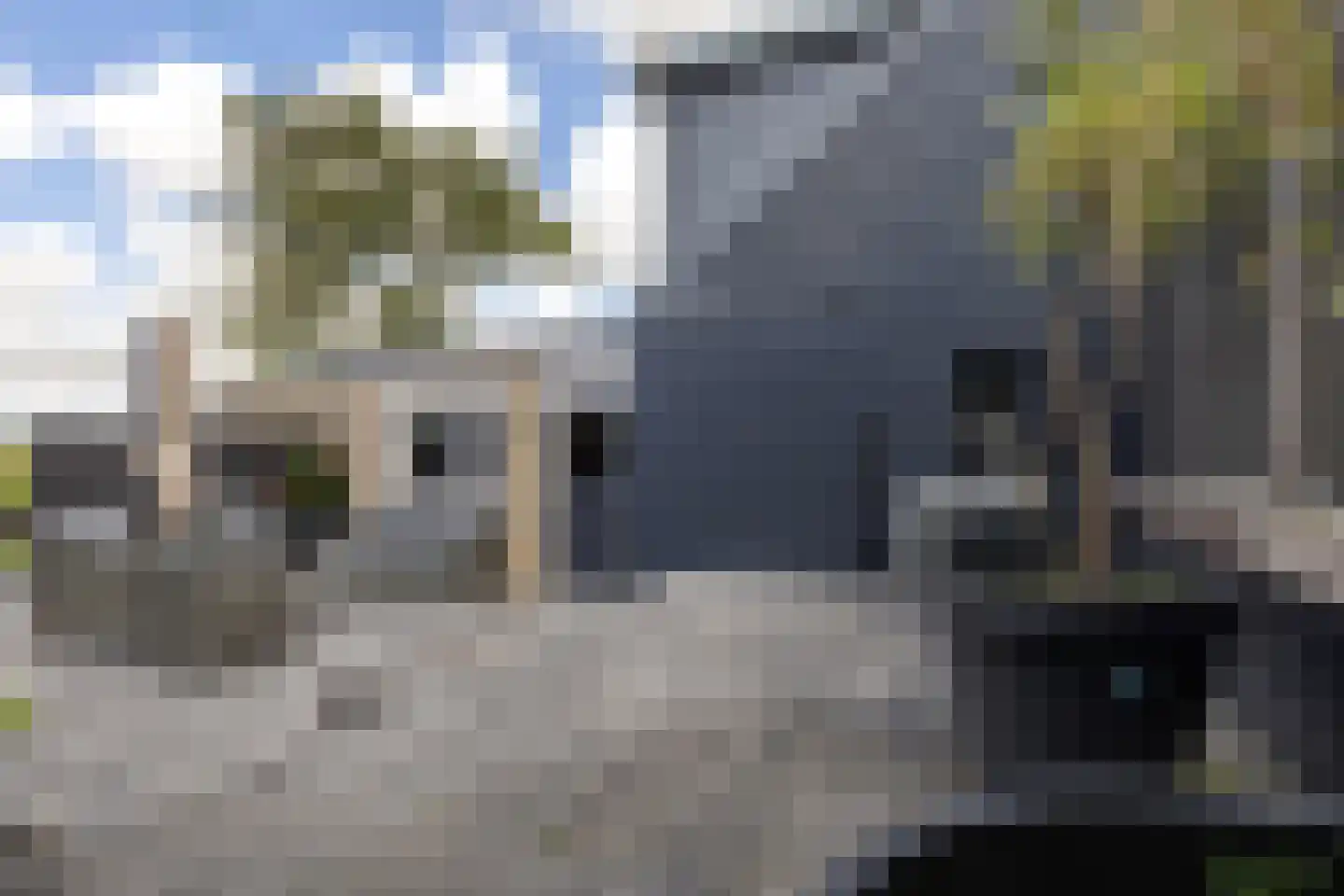 Stougjesdijk 77 Westmaas thumbnail 34