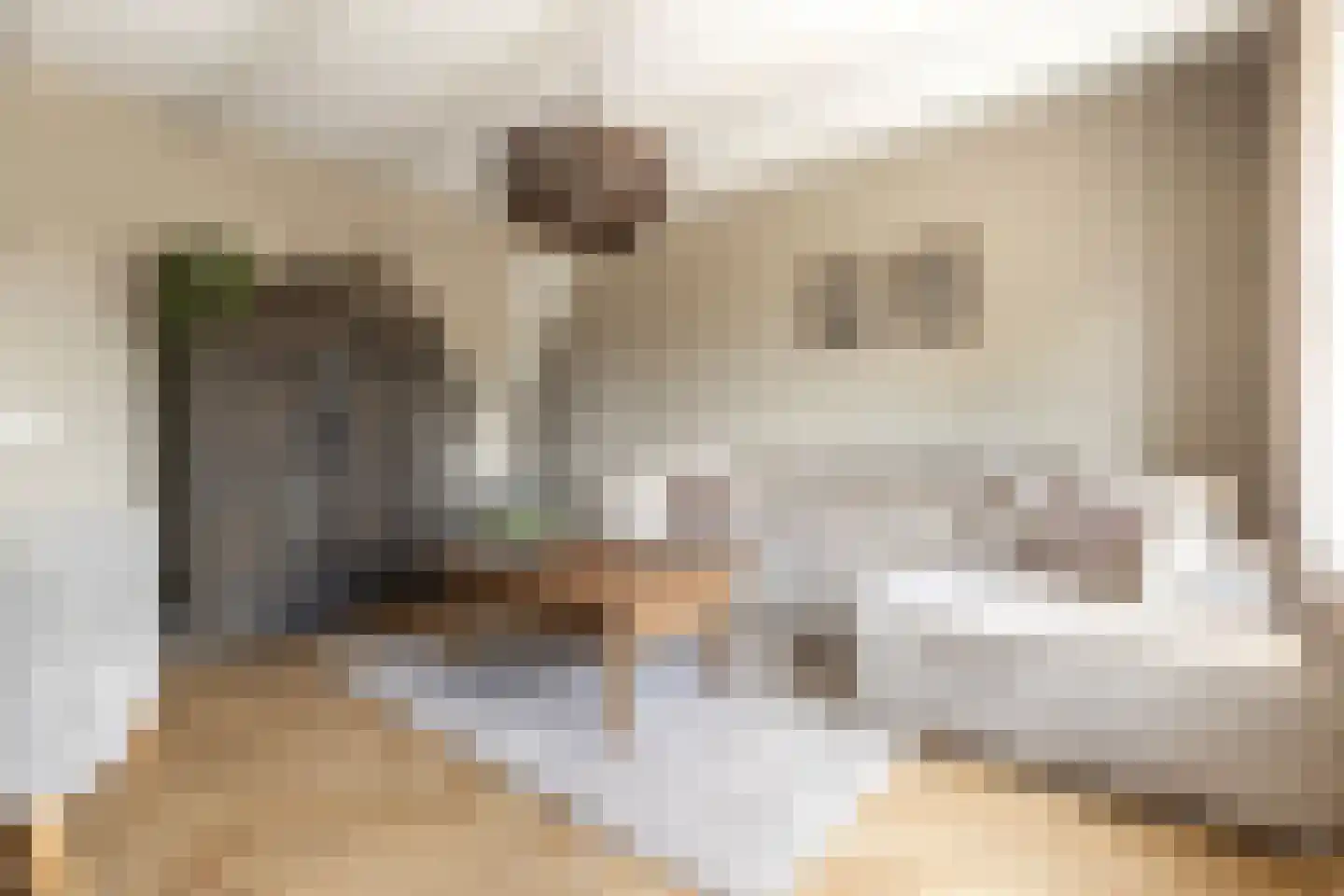 Stougjesdijk 77 Westmaas thumbnail 4