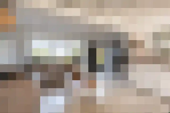 Stougjesdijk 96 Westmaas thumbnail 10
