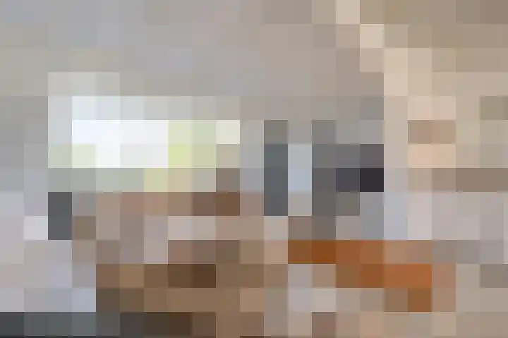 Stougjesdijk 96 Westmaas thumbnail 13