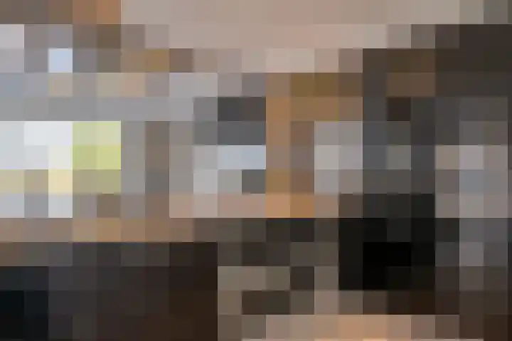 Stougjesdijk 96 Westmaas thumbnail 15