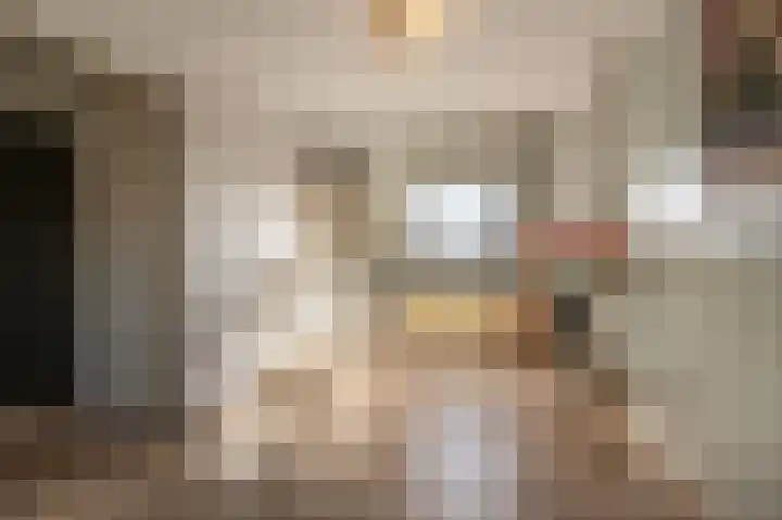 Stougjesdijk 96 Westmaas thumbnail 18