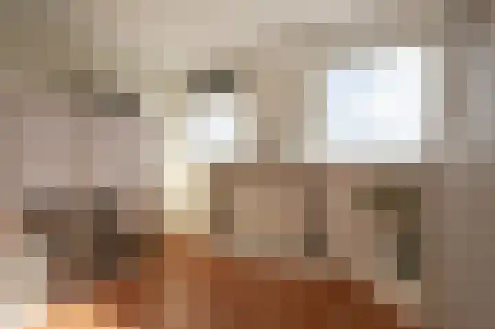 Stougjesdijk 96 Westmaas thumbnail 29
