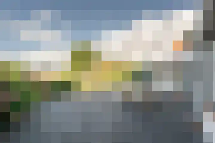 Stougjesdijk 96 Westmaas thumbnail 31