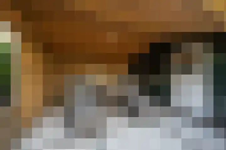 Stougjesdijk 96 Westmaas thumbnail 35