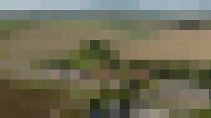 Stougjesdijk 96 Westmaas thumbnail 4
