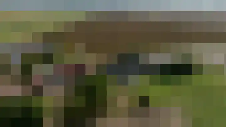 Stougjesdijk 96 Westmaas thumbnail 48