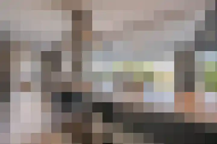 Stougjesdijk 96 Westmaas thumbnail 6