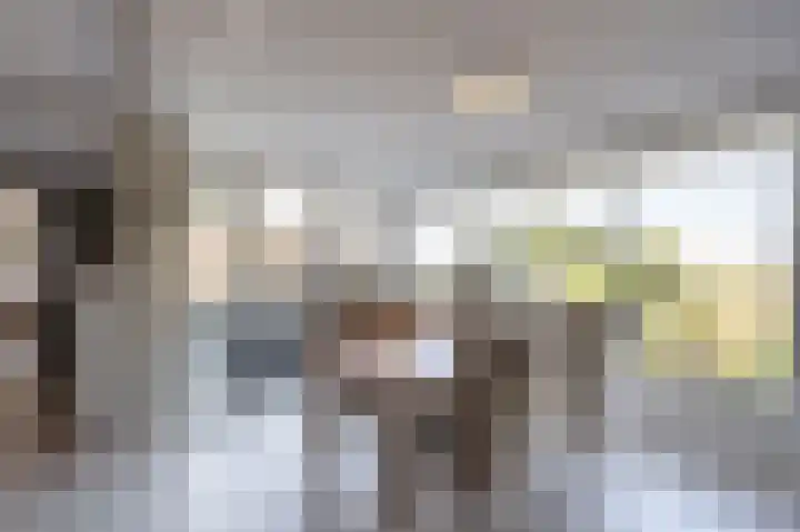 Stougjesdijk 96 Westmaas thumbnail 7